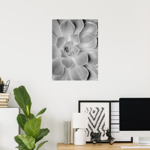 Poster Imprimable Cactus noir et blanc