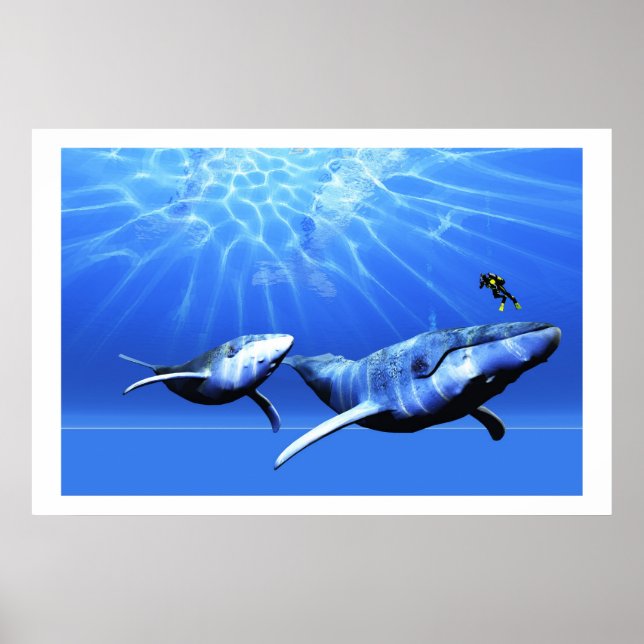 POSTER IMPRIMANTE (Devant)