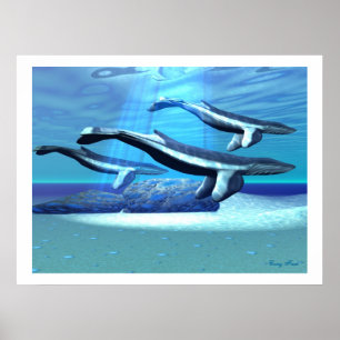 POSTER IMPRIMANTE SANTUAIRE BLEUE BALEINE
