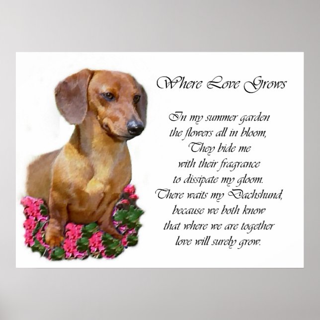 Poster Imprimantes Dachshund Art (Devant)