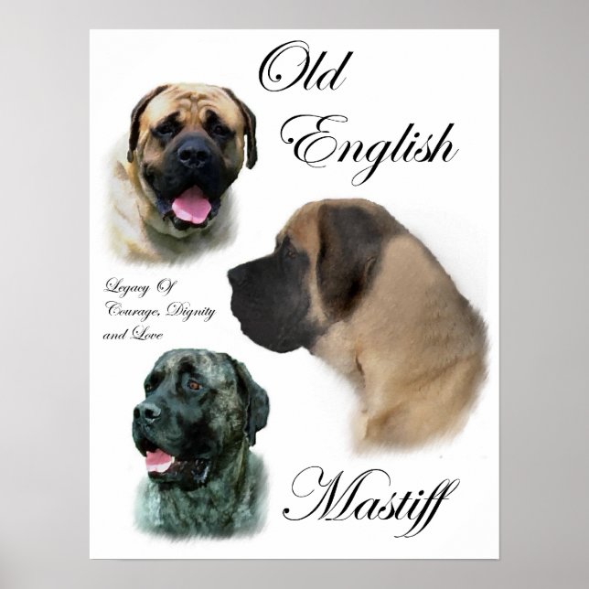 Poster Imprimantes d'art Mastiff en anglais (Devant)