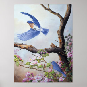 Poster Imprimantes en toile UV "Bluebirds"