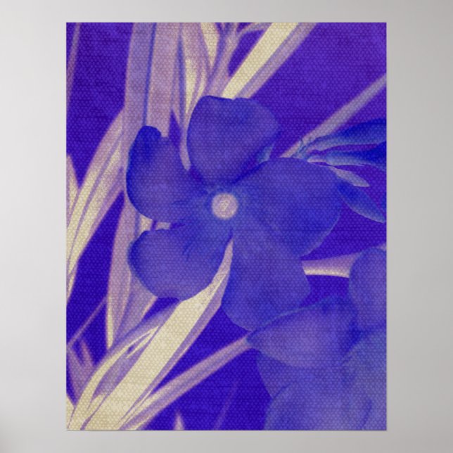 Poster Imprimantes florales bleues (Devant)