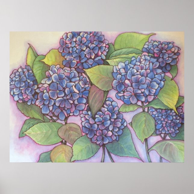Poster IMPRIMATION D'Hydrangeas CANVAS (Devant)