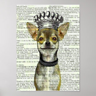 Poster IMPRIMATION vintage D'ART CHIHUAHUA W CROWN, POSTE