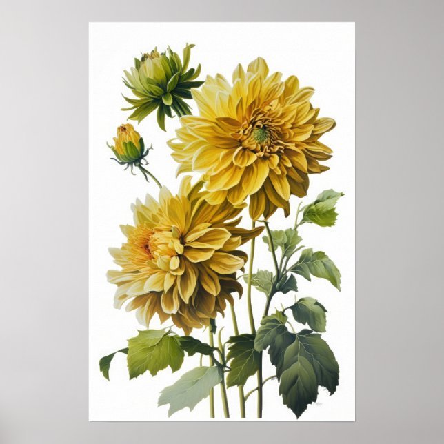 Poster imprimé Dahlias Jaune (Devant)