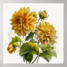 Poster imprimé Dahlias Jaune
