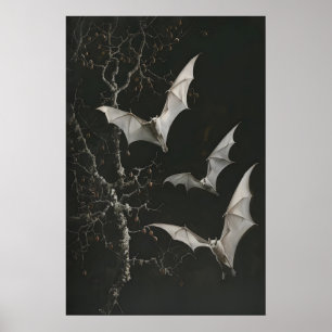 Poster Imprimé d'art de chauves-souris frugivores albinos