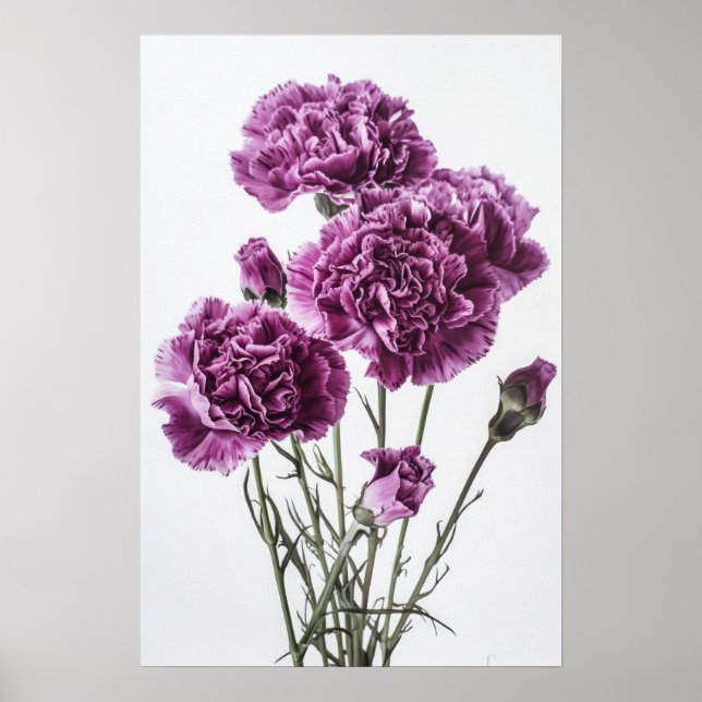 Poster imprimé d'oeillets violets (Devant)