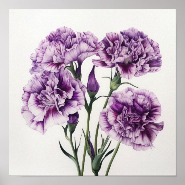 Poster imprimé d'oeillets violets (Devant)