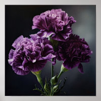 Poster imprimé d'oeillets violets
