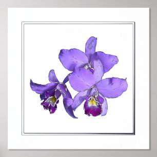 Poster imprimé du groupe orchidée violet en argent