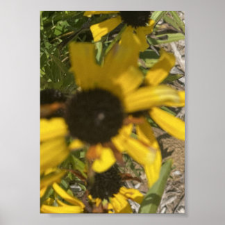 Poster Imprimé floral jaune grisfforaday