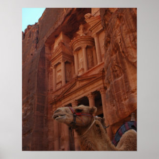 Poster Imprimé Petra Camel