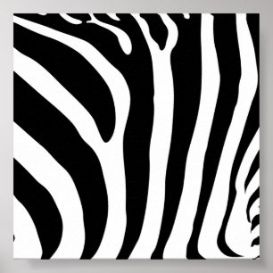 Poster imprimé Zebra