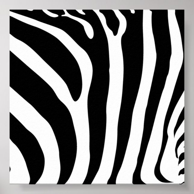 Poster imprimé Zebra (Devant)