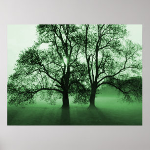 Poster IMPRIMER - 2 grands arbres verts