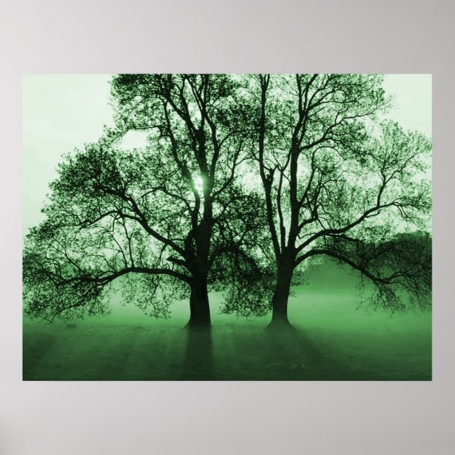Poster IMPRIMER - 2 grands arbres verts (Devant)