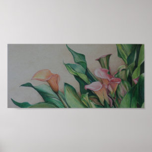 Poster Imprimer Art Calla Lilies