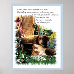 Poster Imprimer Australian Shepherd'Art
