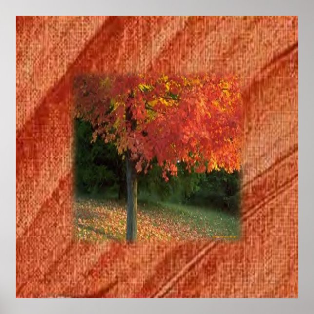 Poster Imprimer automne (Devant)