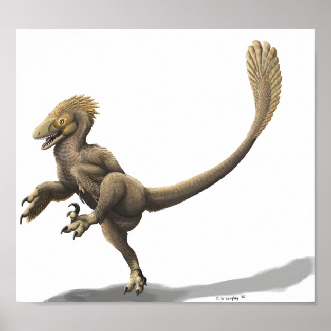 Poster Imprimer Balaur Bondoc (Devant)