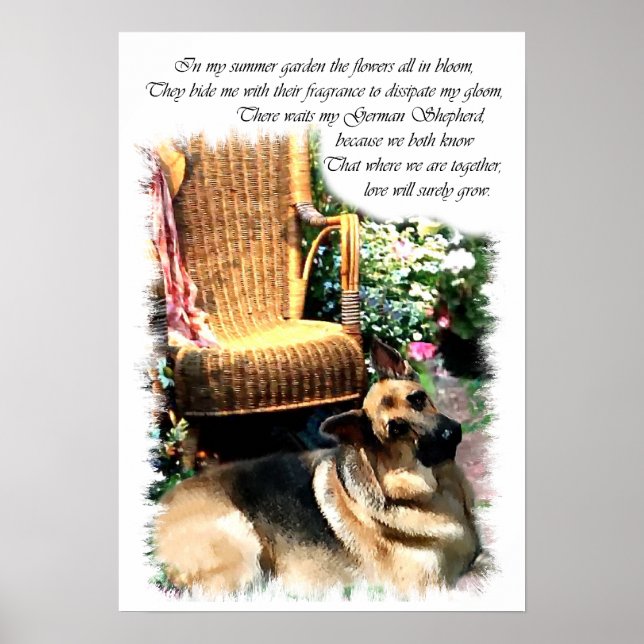 Poster Imprimer berger allemand (Devant)