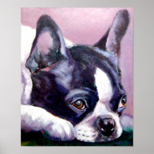 Poster Imprimer Boston Terrier