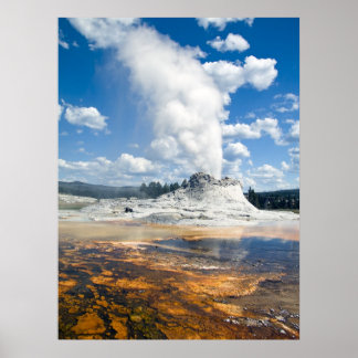 Poster Imprimer - Castle Geyser, parc national de Yellows