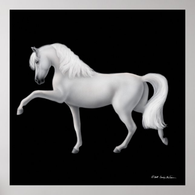 Poster Imprimer Cheval Andalou Blanc (Devant)