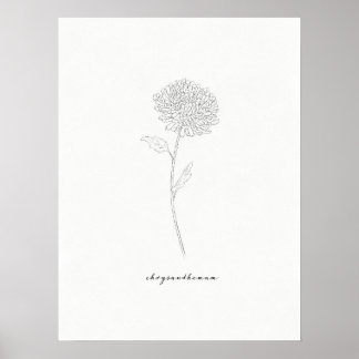 Poster Imprimer Chrysanthemum