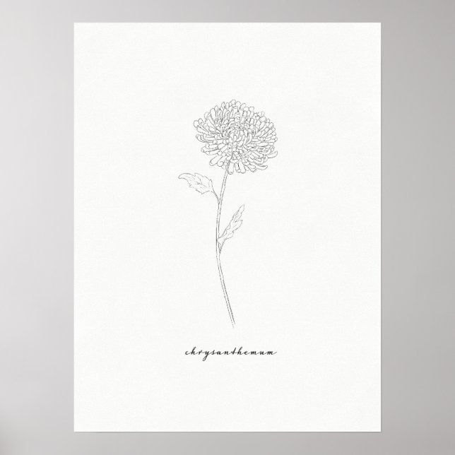 Poster Imprimer Chrysanthemum (Devant)
