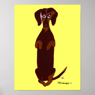 Poster Imprimer Dachshund Sidney