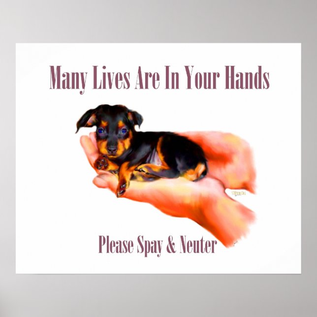 Poster Imprimer dans vos mains (S'il vous plaît Spay & Ne (Devant)
