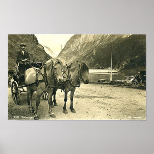 Poster Imprimer - Gudvangen, Norvège