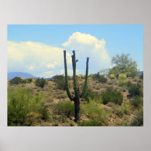 Poster Imprimer la beauté de la surface