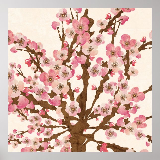 Poster Imprimer la fleur de cerisier (Devant)