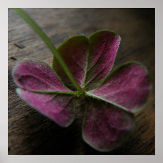 Poster Imprimer la toile 'nature'