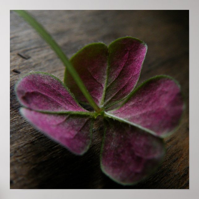 Poster Imprimer la toile 'nature' (Devant)