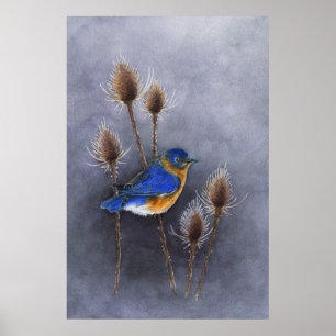 Poster Imprimer l'affiche Bluebird
