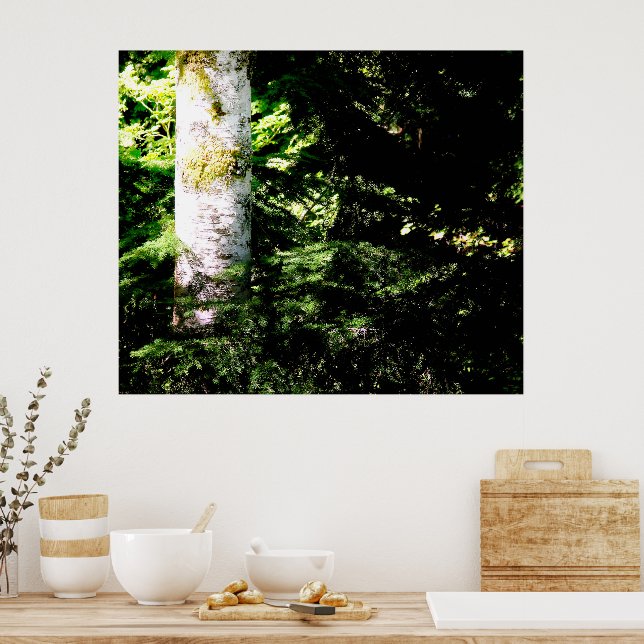 Poster Imprimer l'affiche de l'éclair de forêt (Cuisine)