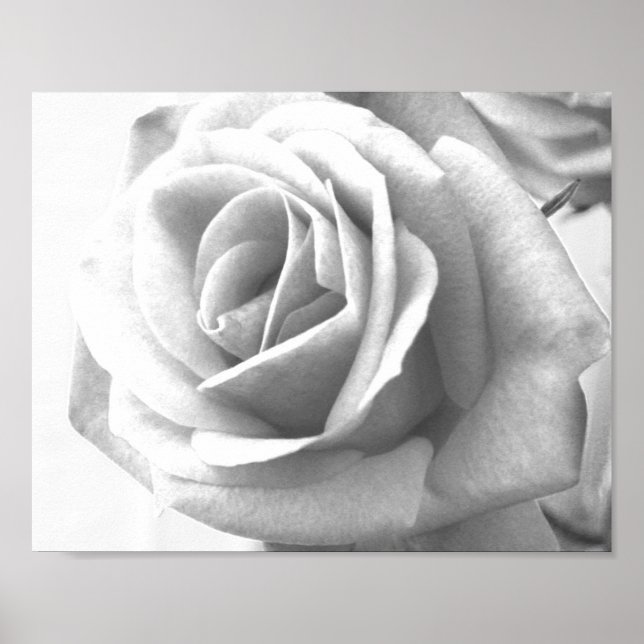 Poster Imprimer l'affiche rose (Devant)