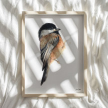 Imprimer l'aquarelle de poulet