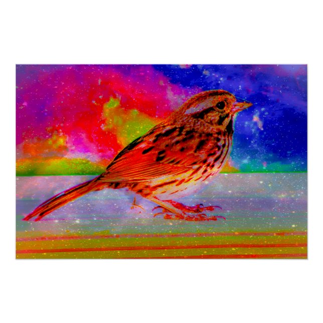 Poster Imprimer l'art du rêve d'oiseaux cosmiques" (Devant)
