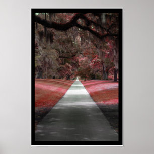 Poster Imprimer le chemin