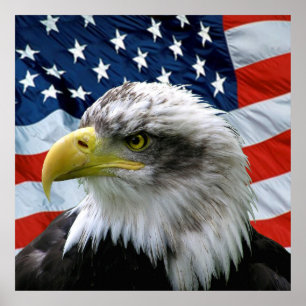 Poster Imprimer le drapeau américain de Bald Eagle