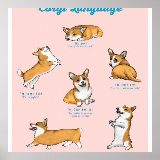 Poster Imprimer le langage Corgi (Devant)
