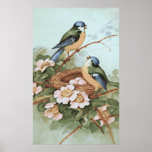 Poster Imprimer les oiseaux vintages