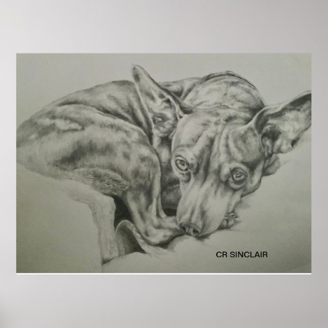 Poster Imprimer, Matte )MEET SAM par CR Sinclair (Devant)