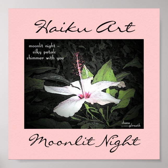 Poster Imprimer Moonlit Night Haiku (Devant)